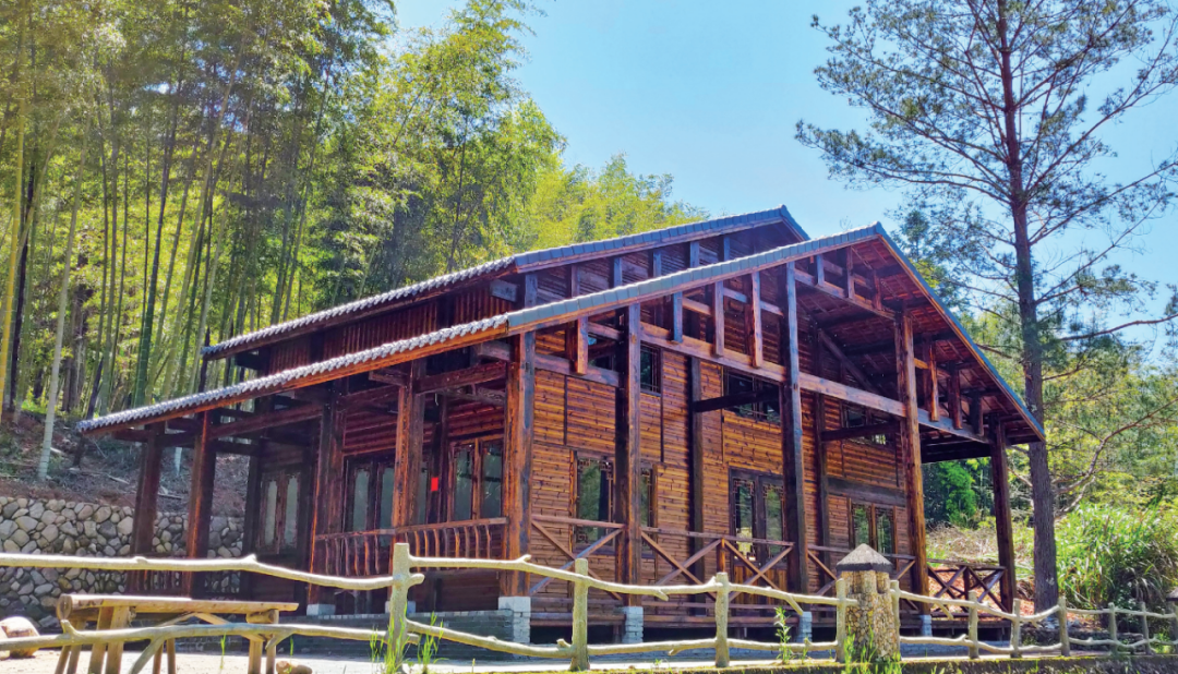 设计下乡助力乡村振兴案例福建篇:古与今、农与艺完美结合,用设计点亮乡村 - 知乎