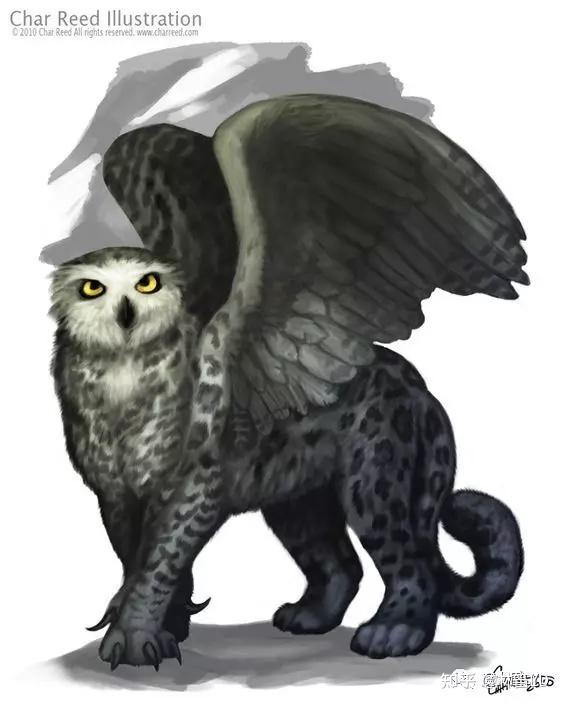 神话生物——自带主角光环的狮鹫 Griffin - 知乎
