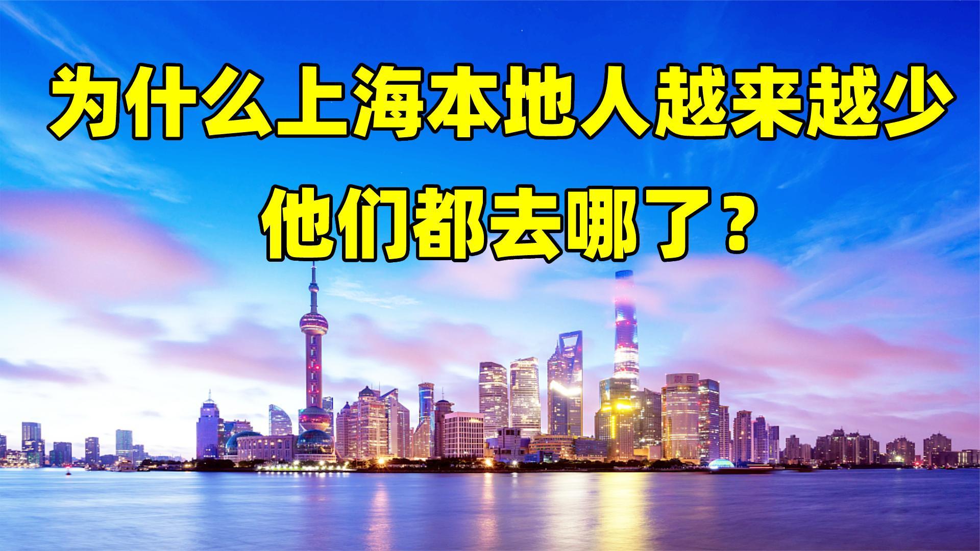 为什么去上海