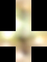 【GPU精粹与Shader编程】(二) 《GPU Gems 1》全书核心内容提炼总结 · 上篇