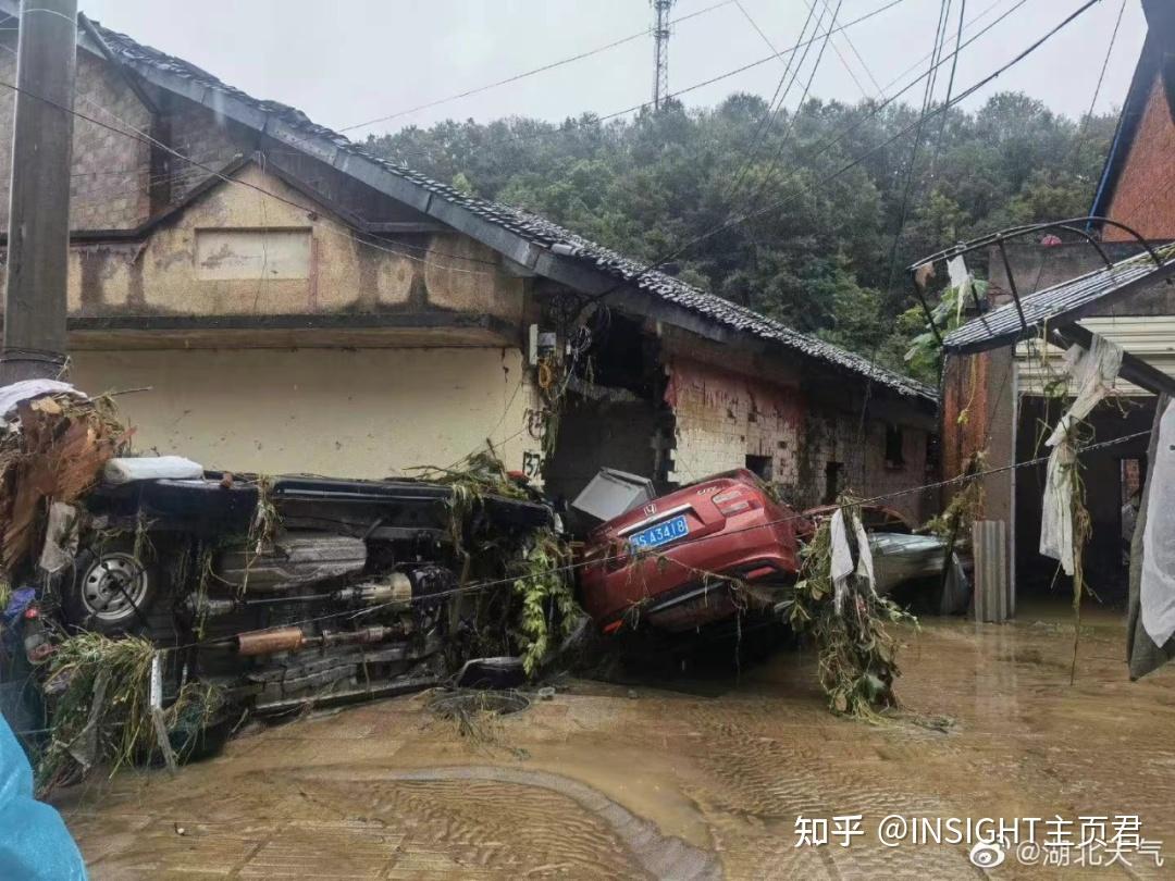 好在,目前部分地區洪水已逐漸退去 但剩下的也只有一片狼藉 樹木倒塌