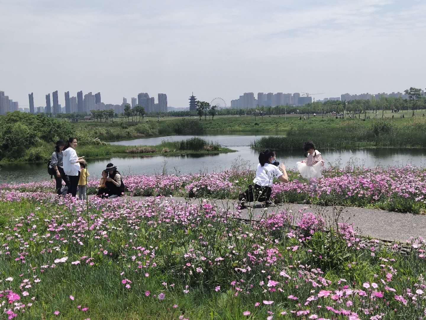 长沙洋湖湿地公园的花海里 许多温馨的画面比鲜花更美丽更感人 知乎