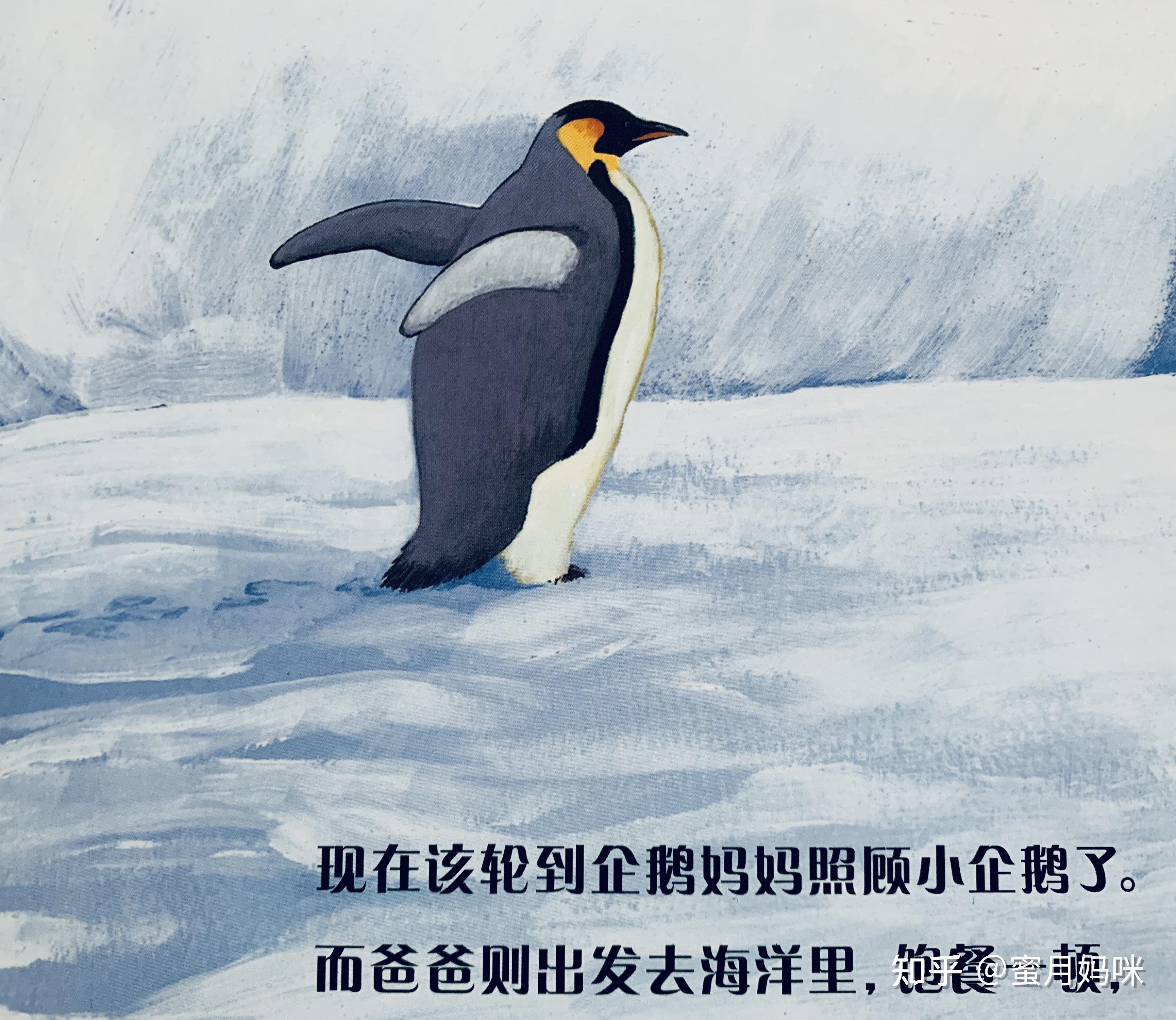 自然之美,生命之美,全在这套给孩子的自然故事里