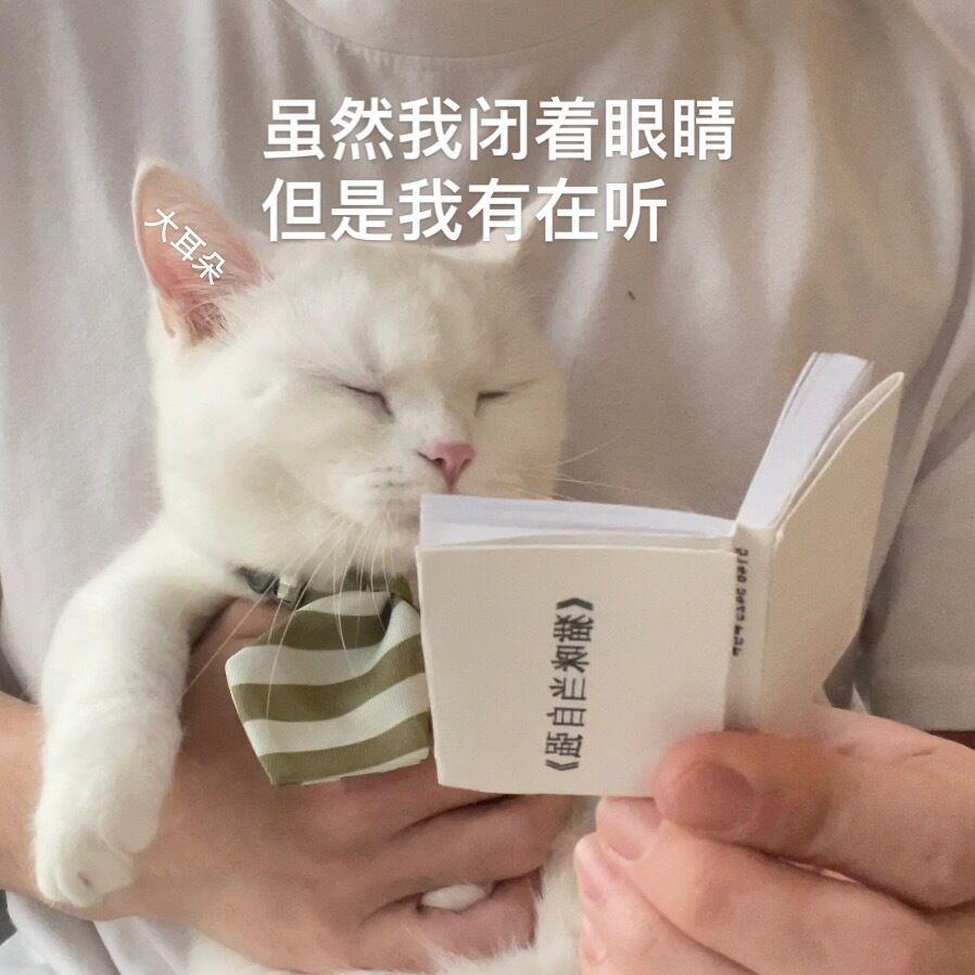 你有哪些猫猫的表情包? - 知乎