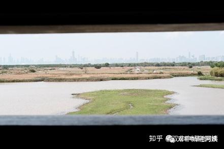 就读体验香港科技大学环境健康与安全硕士