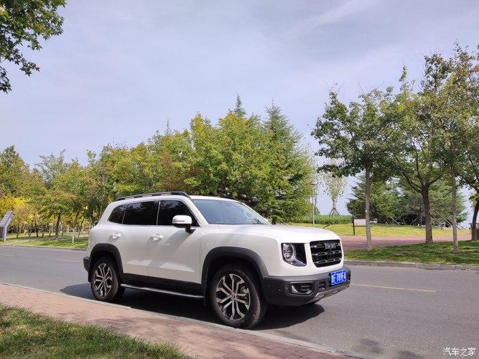 白色是干净哈弗大狗是霸气遇见你真好