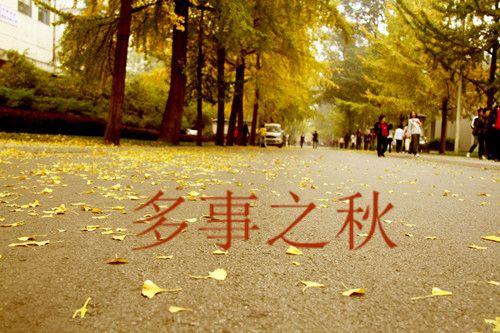 多事之秋我准备先感冒