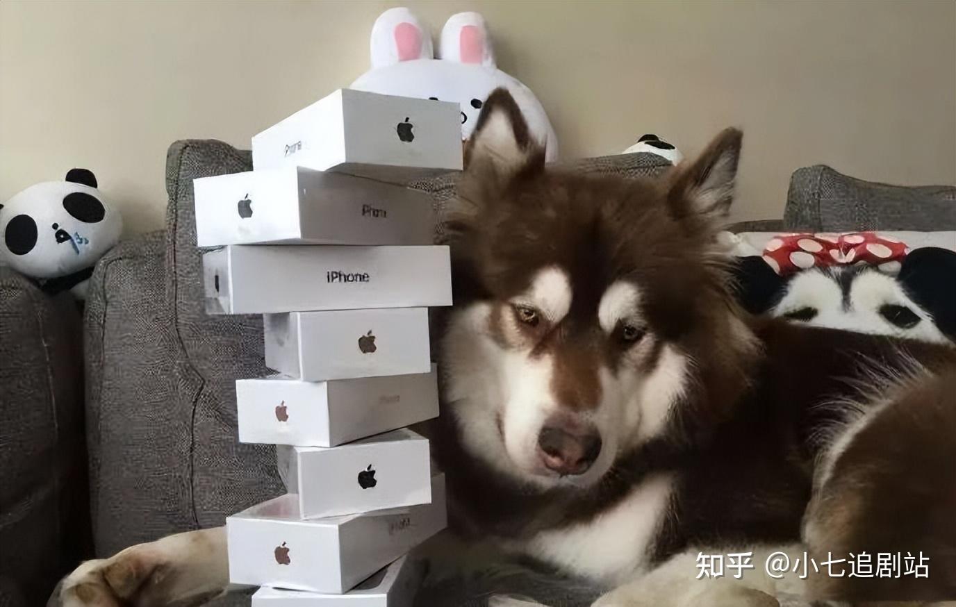 王红权星揭秘家族产业,财富的背后,是来自内心深处的信念 - 知乎