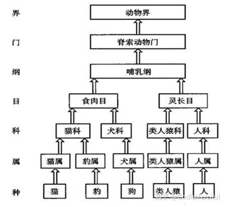 熵减原理-学习 - 知乎