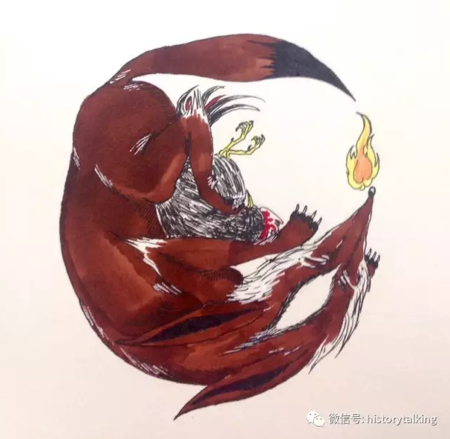 成精的狸子 知乎 成精的狸子 知乎