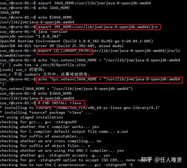 Rjava 