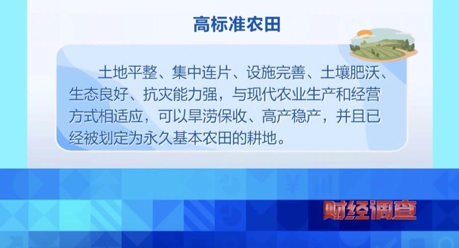 农田里长出光伏电站湖北部分高标准农田被偷梁换柱不要相信任何项目