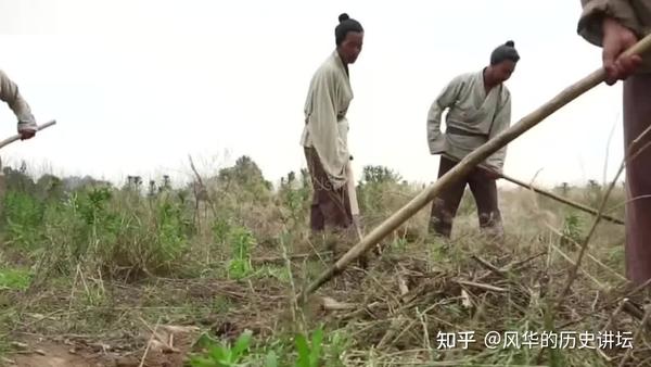 古代农民为何选择给地主卖命一辈子，而不是自己开荒？ - 知乎