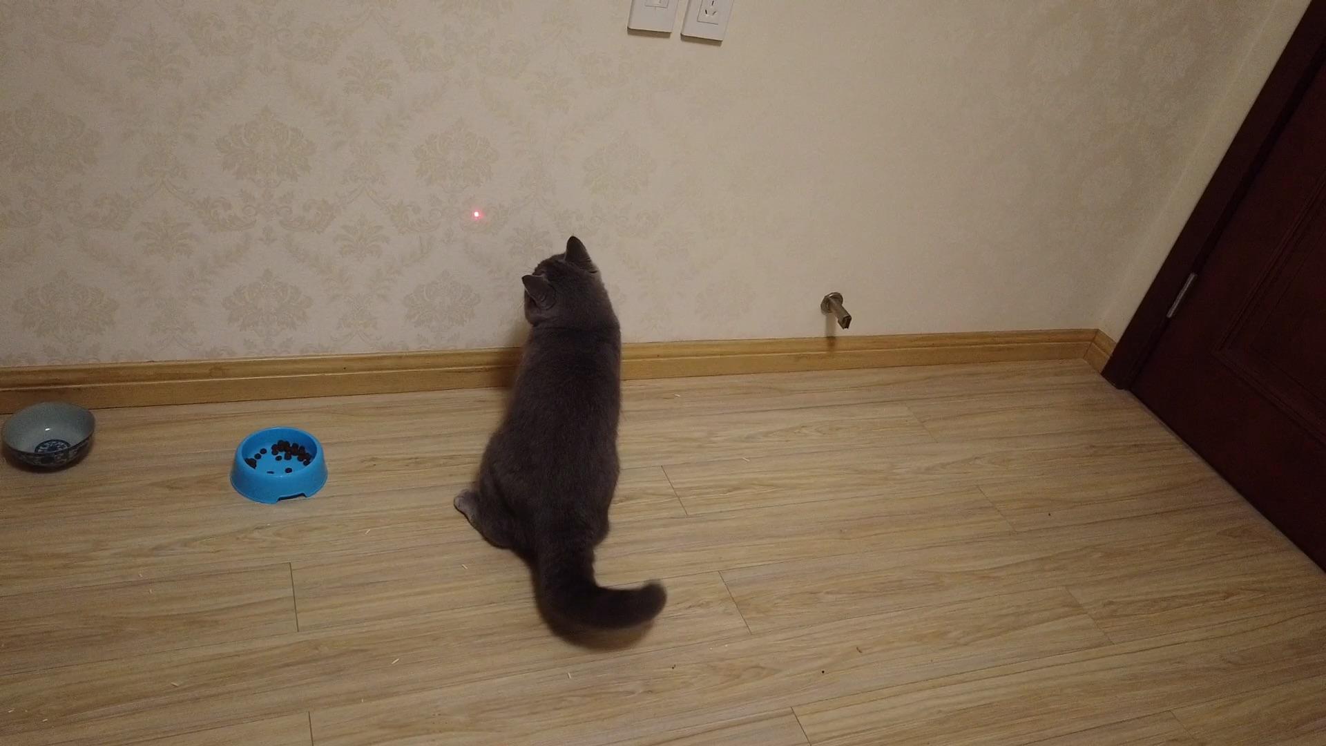 v2-ef79ac3422c0917906fffe8d2014d80e.jpg