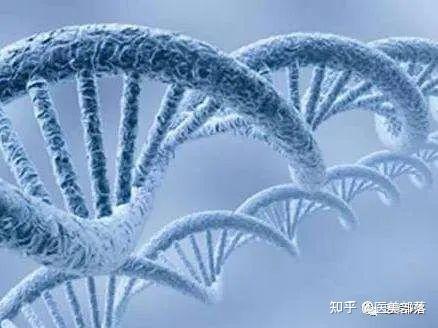 科普 | 生命科学:生物体内的