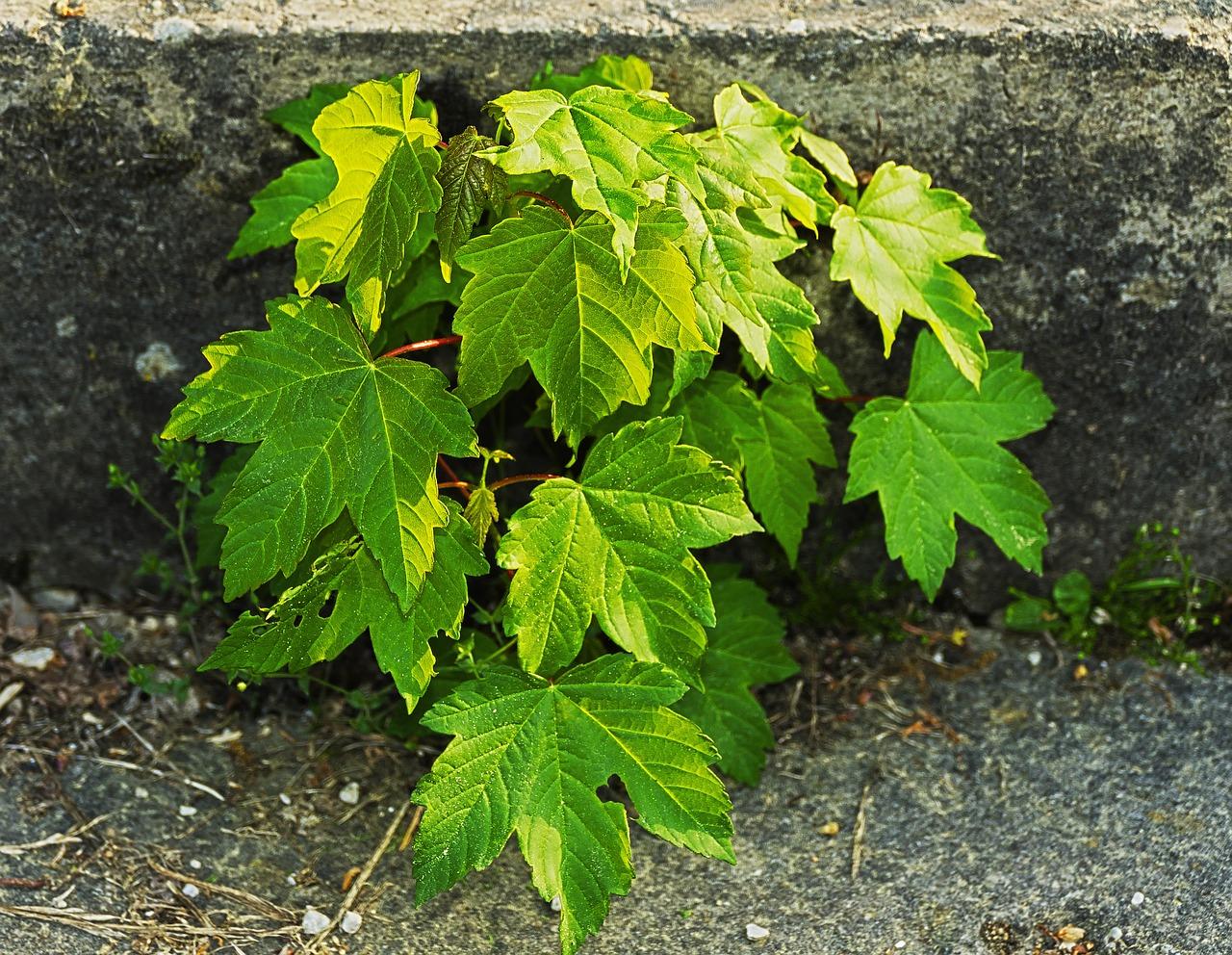 4. 混凝土楼层限制