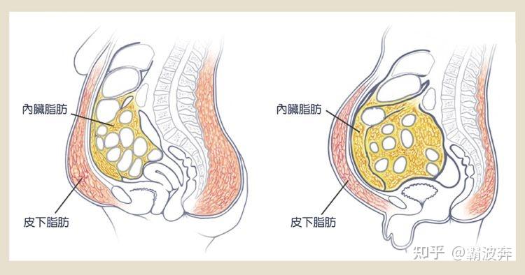 v2-ef81ba79e781791e9aa274ede2a4308c_r.jpg