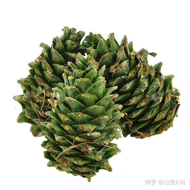 黑龙江一工人乘氢气球打松塔飞走失联1天1夜镇政府称已平安落地如何