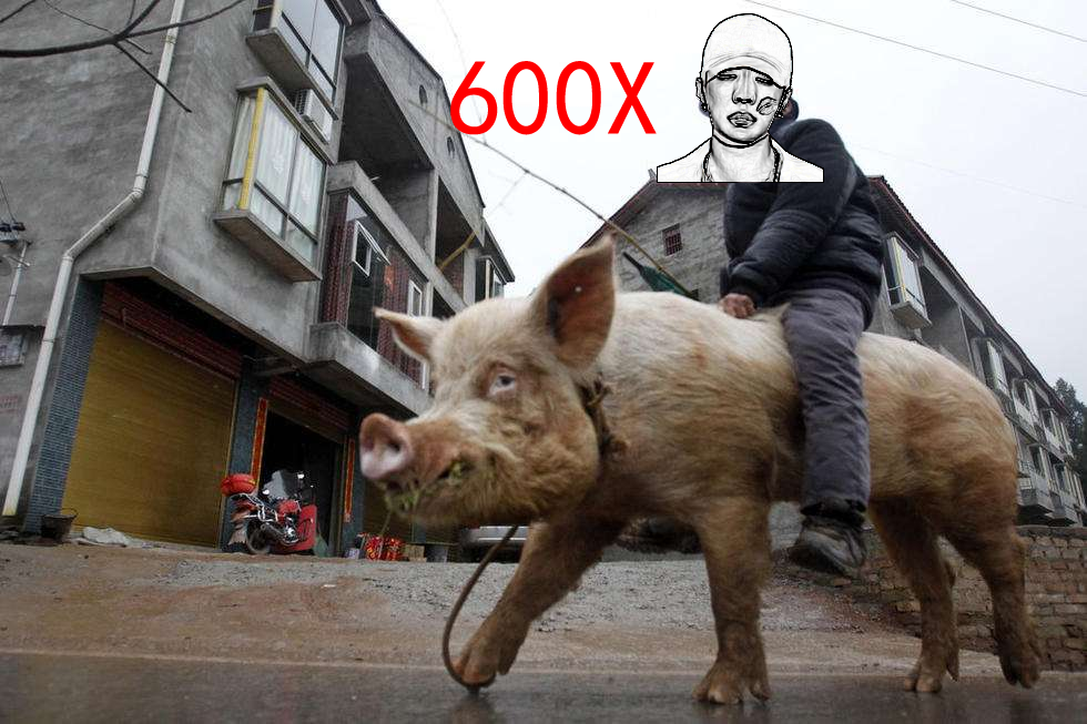 多少斤才算大猪 v2-ef9ad7f30f0e452c6a266fa14516c66e_1440w.jpg?source=172ae18b