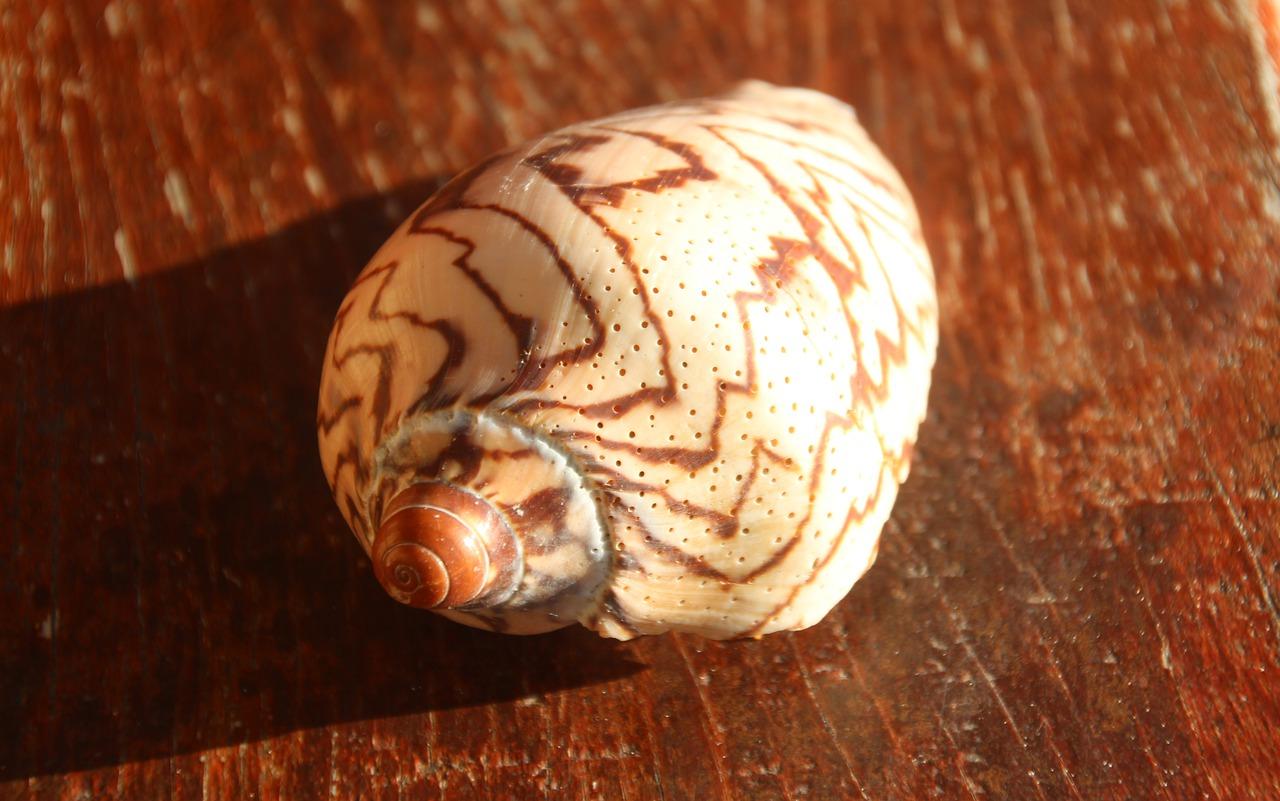 空调外壳变黄怎么办