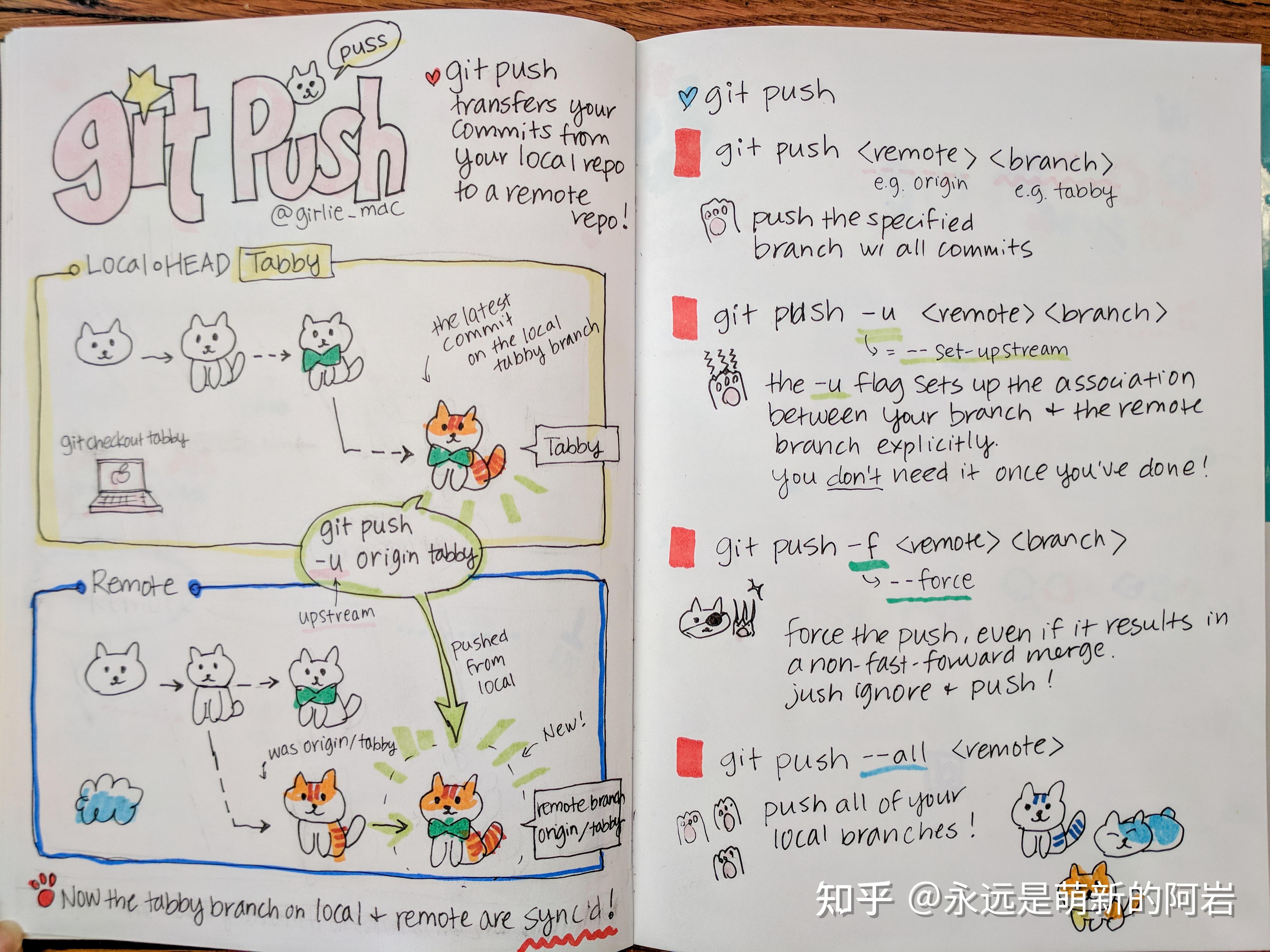 作者通过手绘猫咪图展示了 git 中的常见操作,包括git pull,git merge