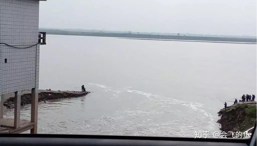 野钓学会这一招,让鱼口更凶猛! - 知乎