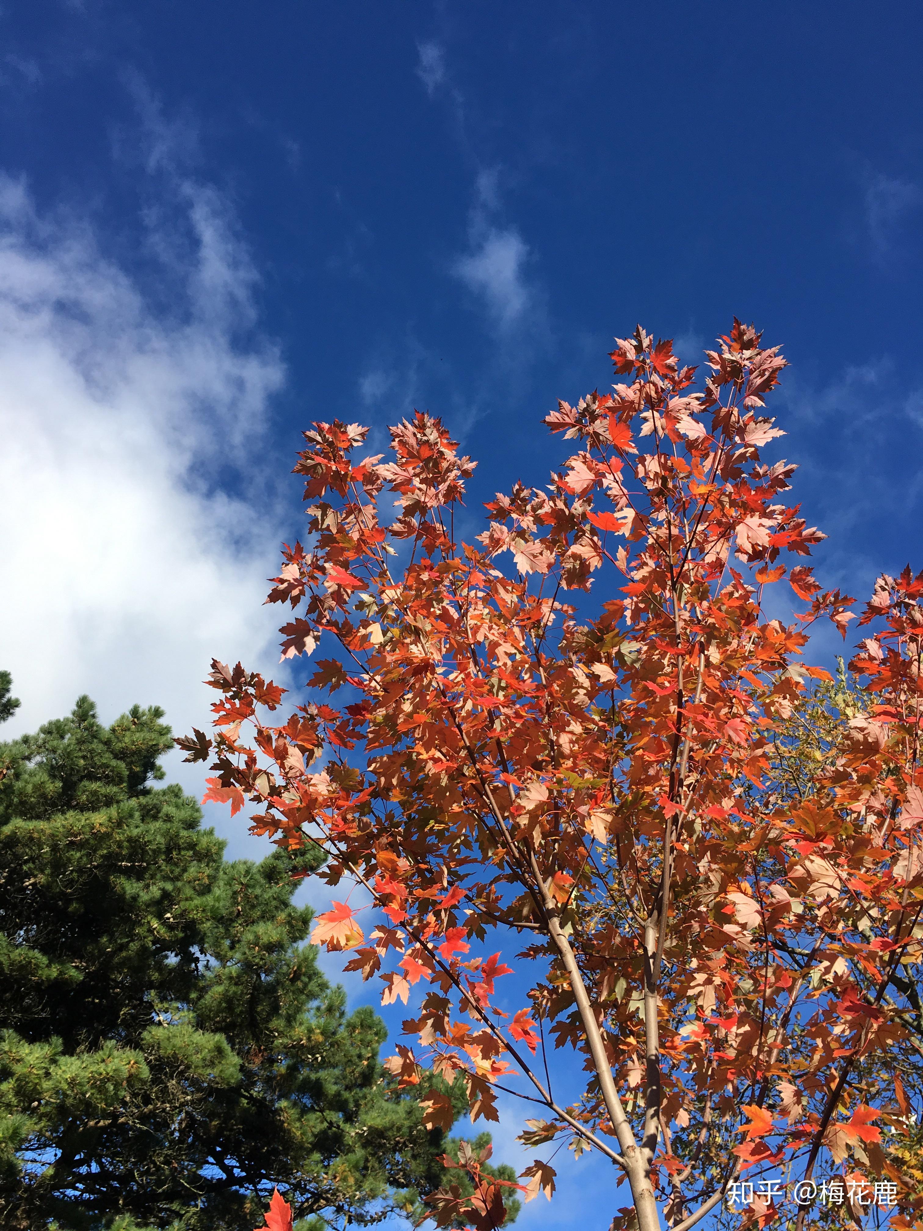 有没有工作三年之后继续考研留学的?