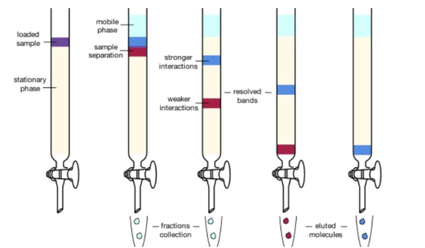 如何過柱子-化學