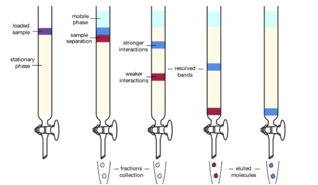 如何过柱子化学