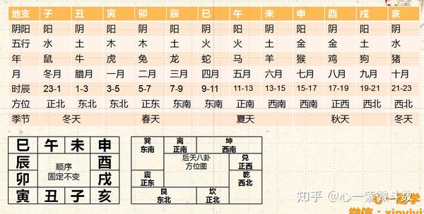 地支——紫微斗数基础概念 - 知乎