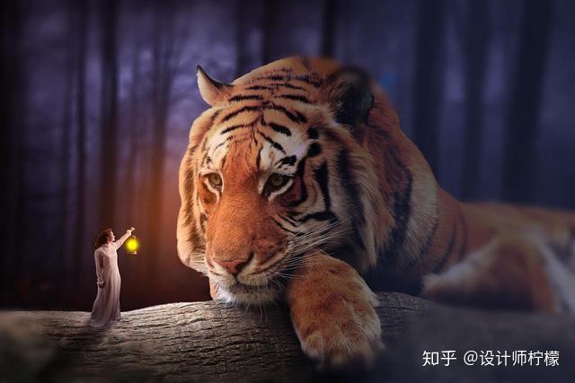 200集适合新人学习的photoshop教程分享：PS基础教程+创意合成进阶+PS高级教程