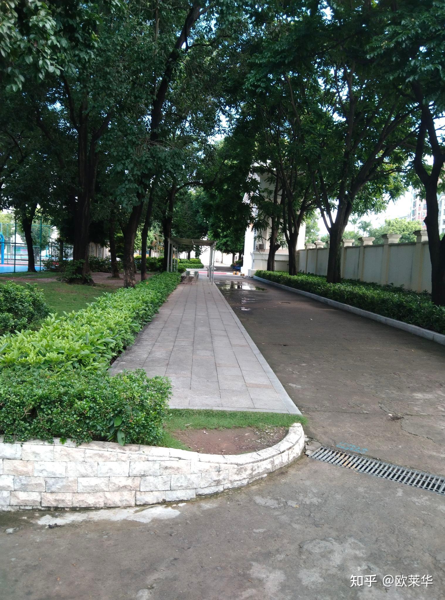 深圳康桥书院怎么样?