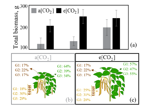 植物表型资讯 菜豆产量 生物量和叶绿素荧光对co2升高的响应 知乎