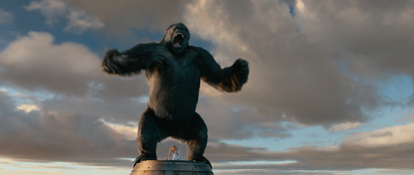 这是全片当中金刚最后一次做这个捶打胸口的经典标志性动作.