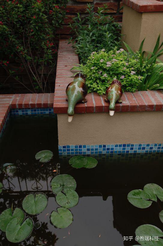 花园留一方小池塘让院子清澈透凉