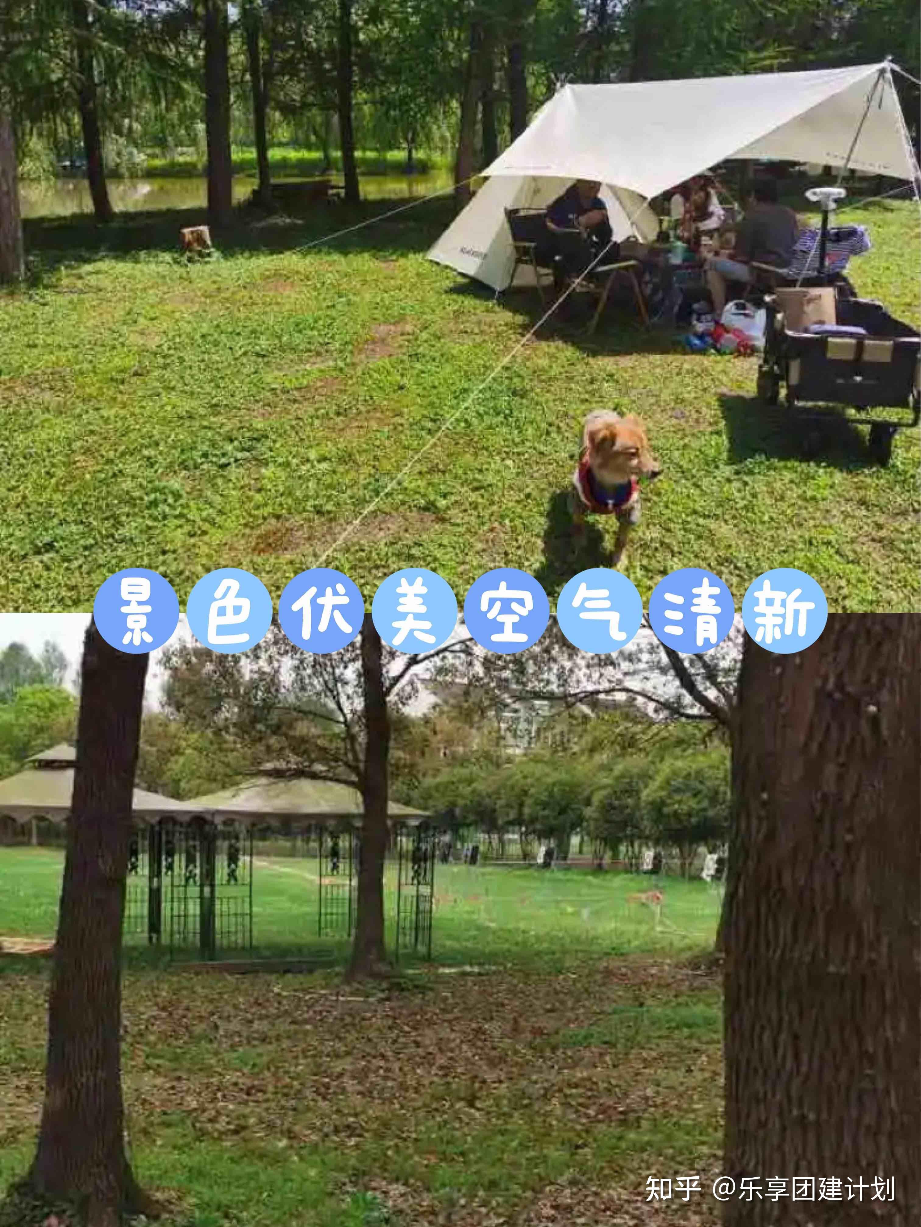 广州乡野度假，北纬23度8森林营地，超适合亲子家庭过周末|营地|亲子|森林_新浪新闻