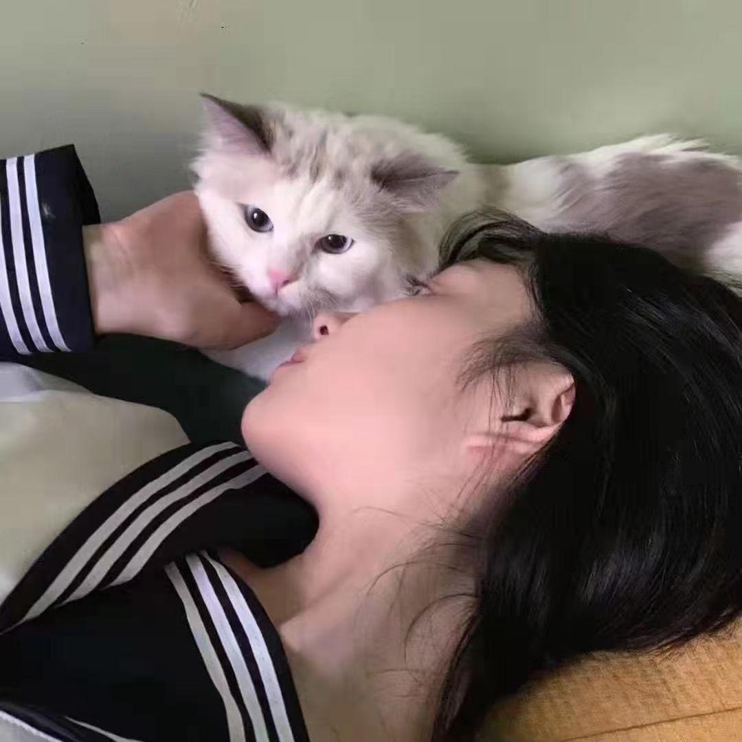 女生抱着猫头像图片