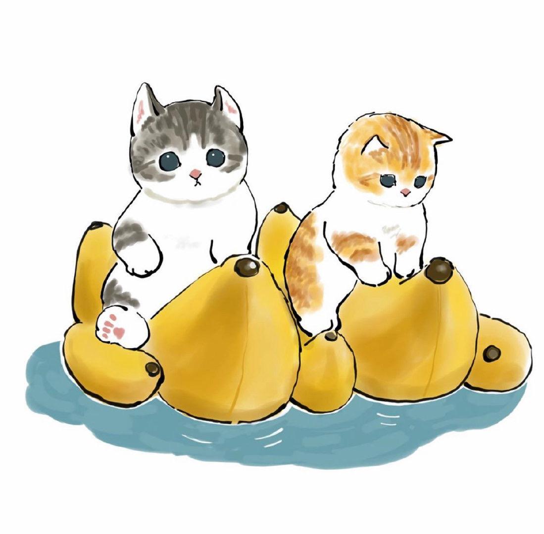 有哪些特别治愈的小动物的图片吗动图什么的都可以