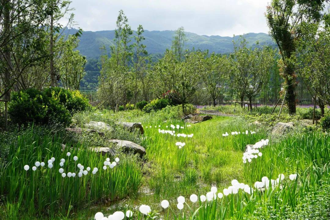 精选案例生态农业观光景观