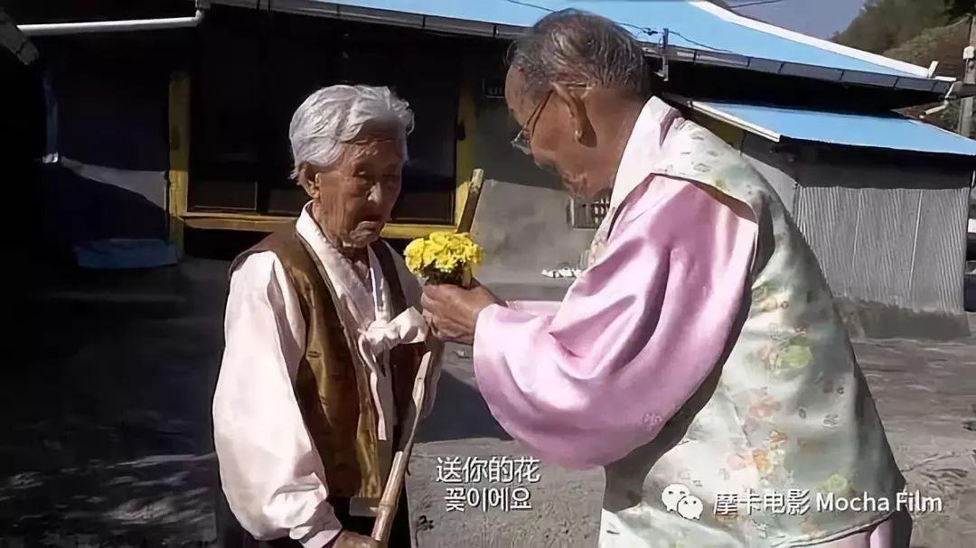 全民单身时代他们竟然一辈子都在谈恋爱