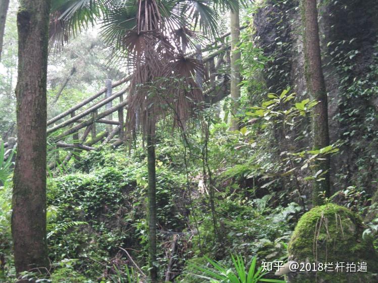 电视剧《西游记》外景地:安县-罗浮山 (中)