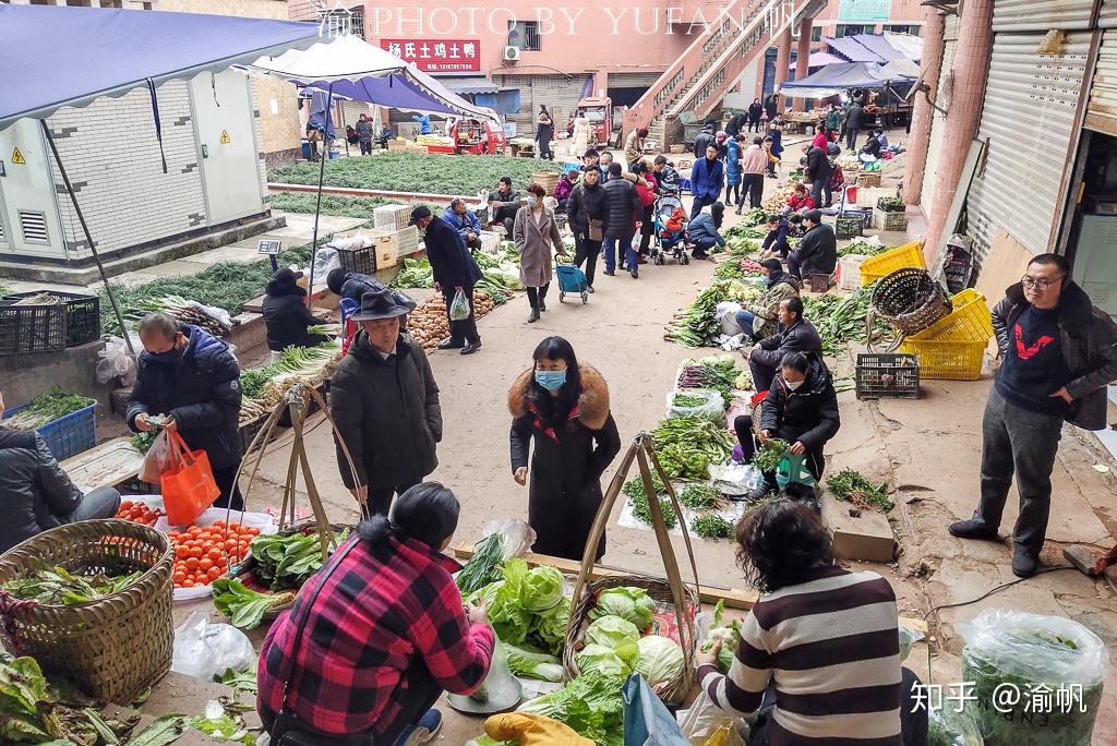 重庆潼南有多少人口_重庆潼南油菜花图片