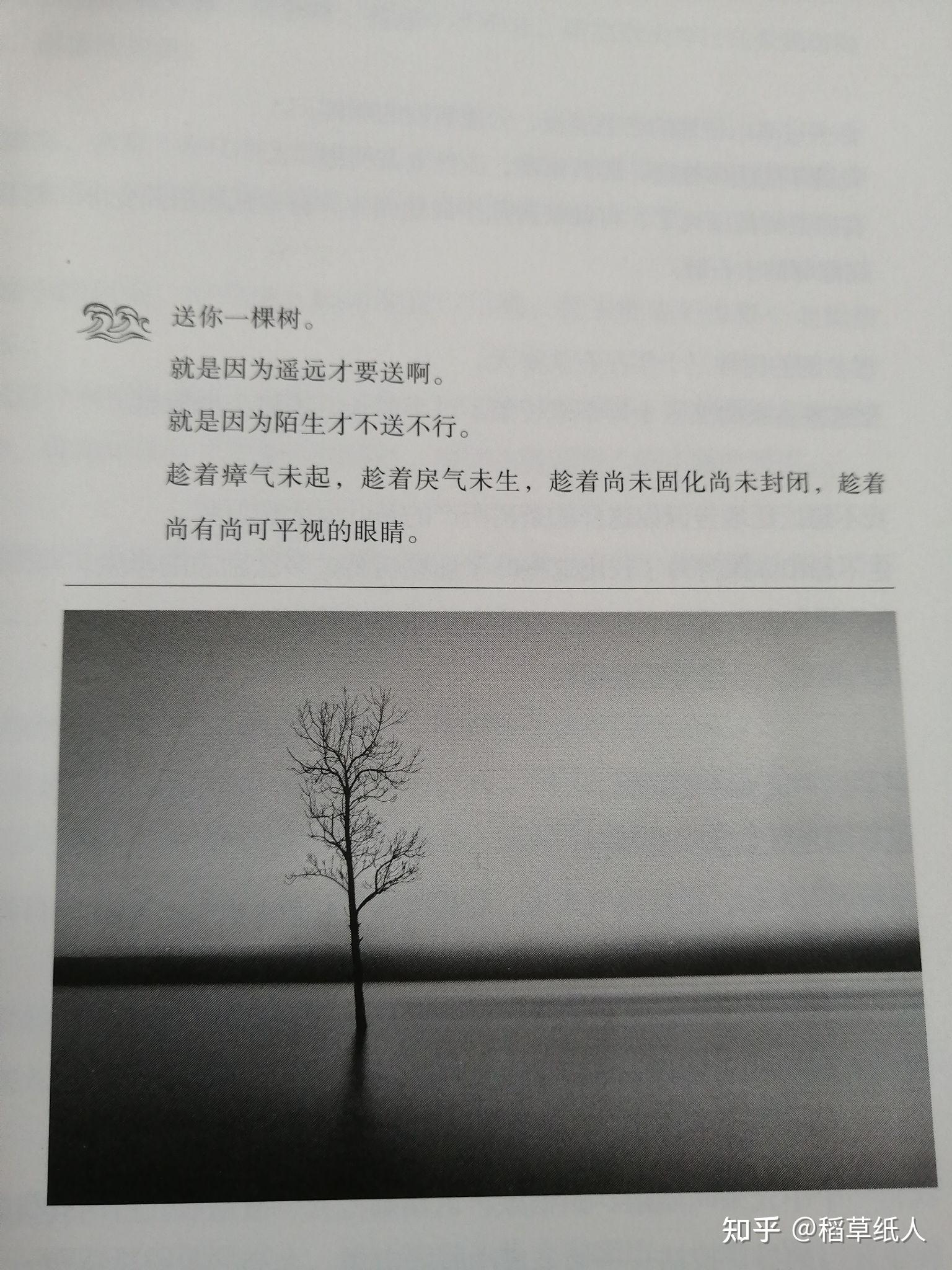 大冰小孩书摘上趁着瘴气未起趁着戾气未生趁着尚未固化尚未封闭趁着尚