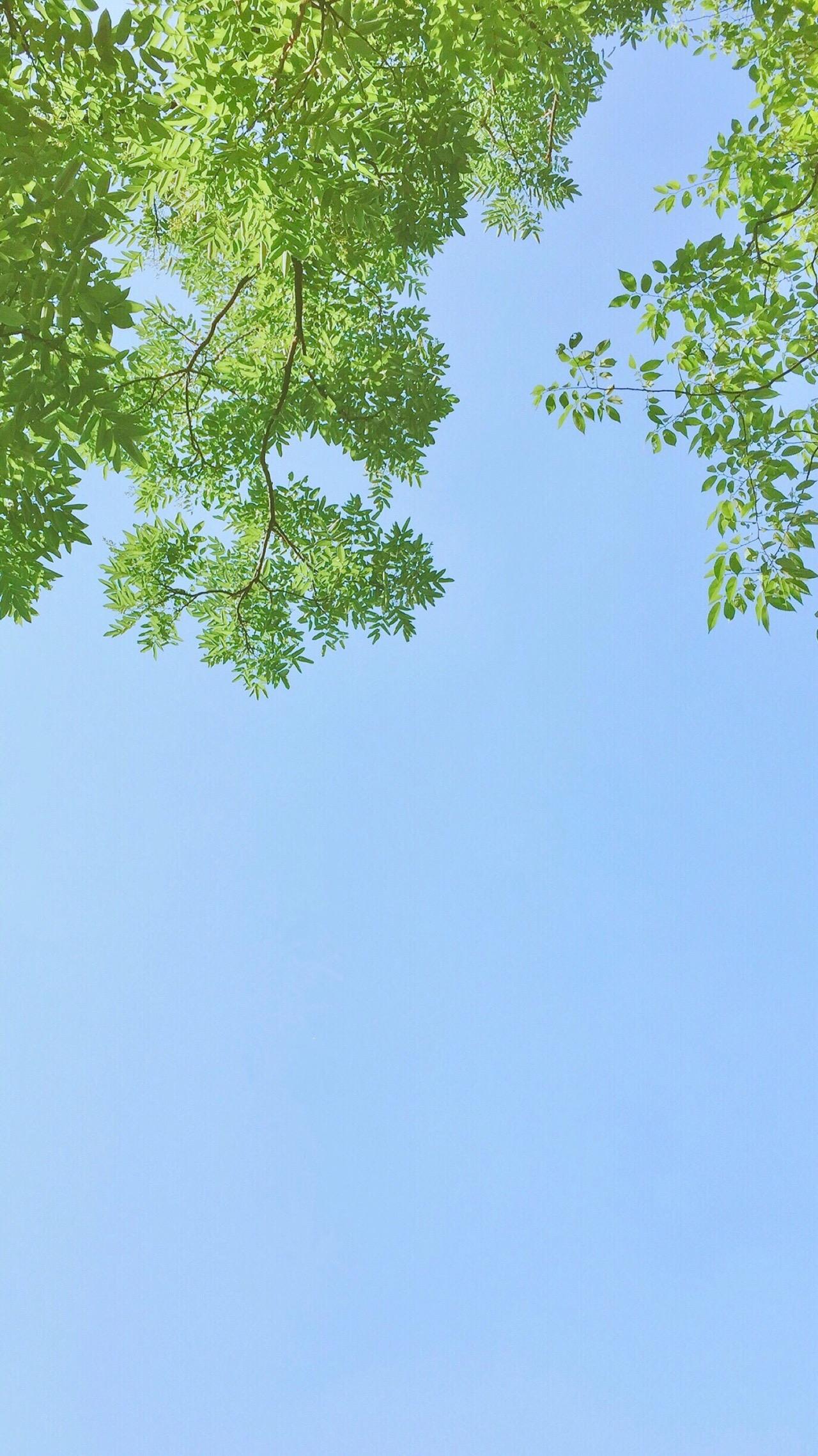 有没有干净清澈明亮简单的手机壁纸