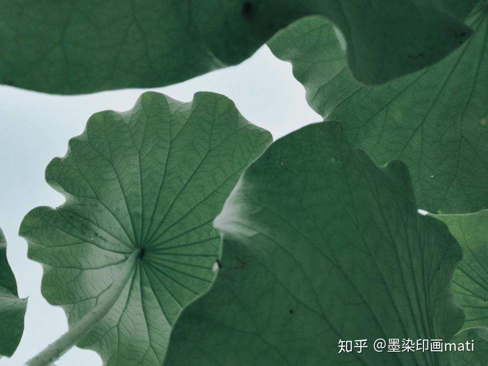 v2-f03e0546cc98f5f128911fa36903df1c_r.jpg