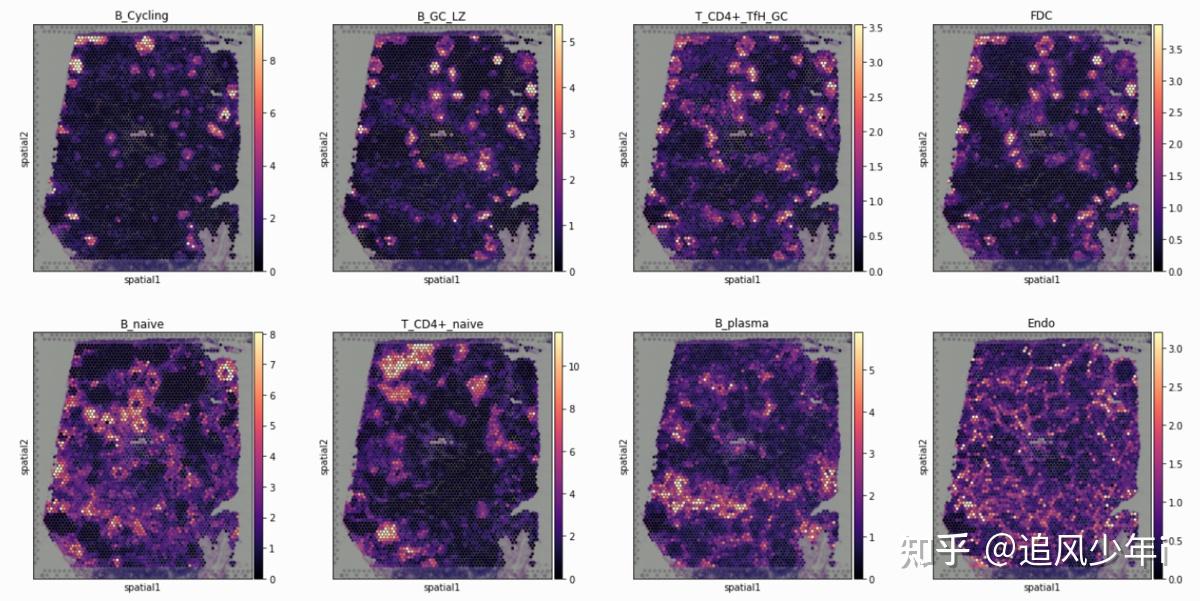 10X单细胞空间联合分析之再次解读cell2location - 知乎