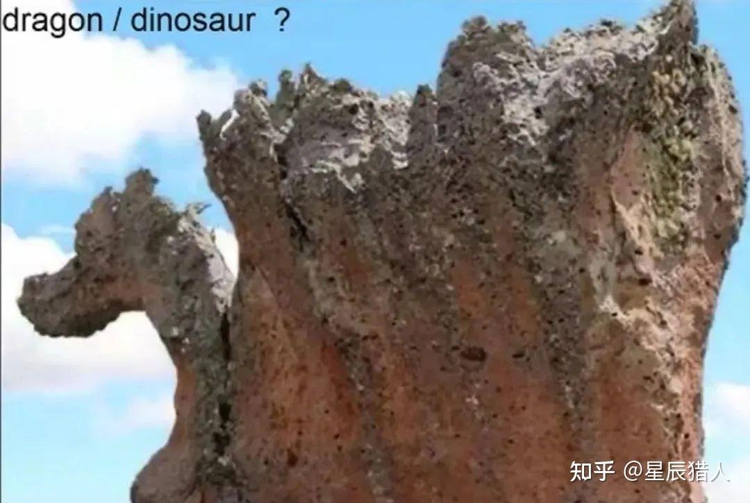 揭秘旧世界:丛林未知生物、矮人族、巨人族、石化巨型动物、石化巨树! - 知乎