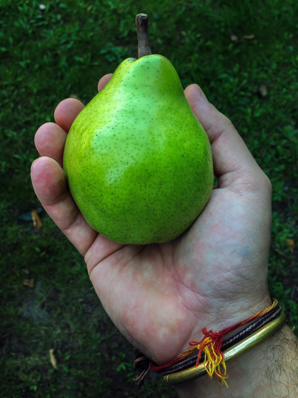 吃桃子仁有什么好处