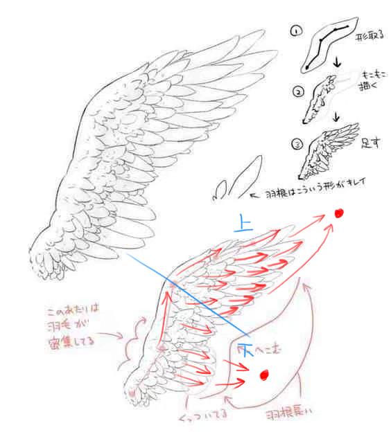 天使的翅膀该怎么画手把手教学步骤详细小白也能看懂