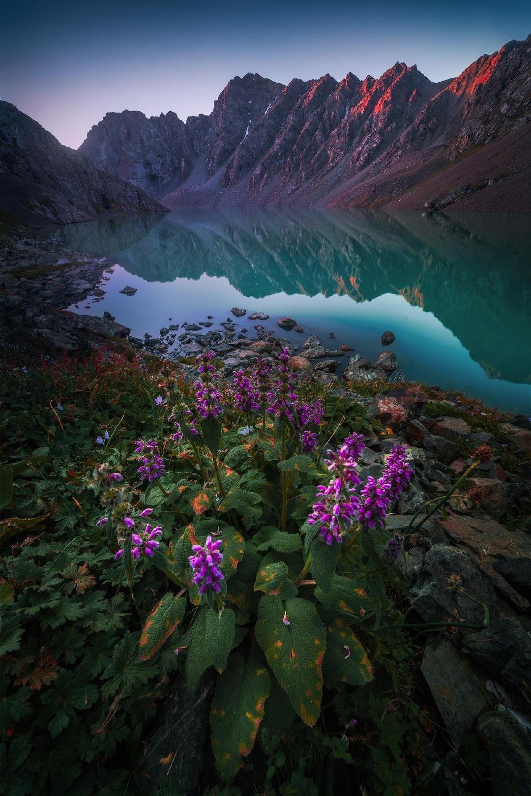 有哪些好看的全面屏手机壁纸或微信聊天背景图片? - 知乎